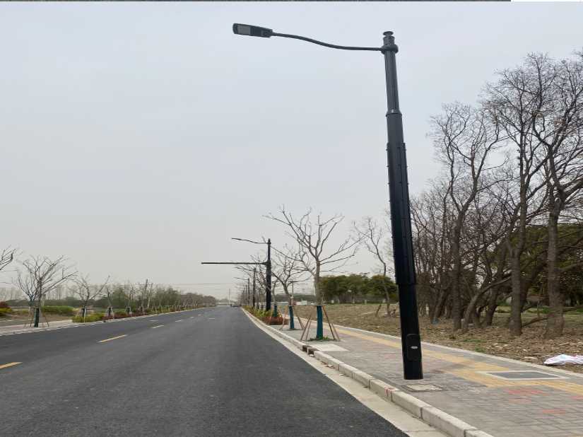 宾阳县上海综合杆 太阳能路灯工程